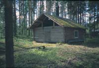 koja